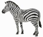 CollectA Figurina Zebra Collecta, 12.4 x 9.3 cm, 3 ani+ (COL88830L) Figurina