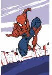 Pókember Kéztörlő arctörlő, törölköző Spiderman, Pókember 30*50cm (SM001)