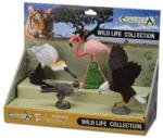 CollectA Set 4 buc Animale Salbatice (COL89810LPP) Figurina
