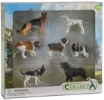 CollectA Set 7 figurine Catelusi (COL89820WB) Figurina