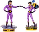 Iron Studios Set de statuete Iron Studios DC Comics: Wonder Twins - Jayna & Zan, 21-20 cm (IS12775) Figurina