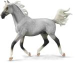 CollectA Figurina pictata manual armasar Half Arabian Dappled Gri (COL88959Deluxe) - bekid Figurina