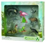 CollectA Set de 8 figurine pictate manual Wild Life (COL84098WB) - bekid Figurina