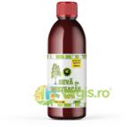 Hypericum Plant Sirop din Seva de Mesteacan 90% fara Zahar 500ml