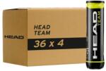 HEAD Sport Mingi tenis camp Head Team 72buc (575703)