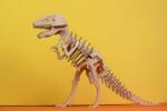 Doti Jucărie Educativă, Dinozaur, Kit de Asamblare, 29 de piese