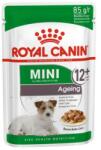 Royal Canin Mini Ageing 12+ - kistestű idős kutya nedves táp 0, 085 kg kutyatáp