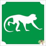  5x5 cm-es Csillámtetoválás sablon - Majom 210 - mkkreativ