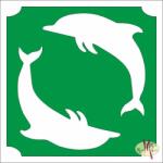  5x5 cm-es csillámtetoválás sablon - Delfinek 244 - mkkreativ