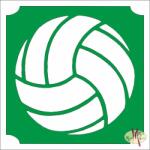 KiviArt 5x5 cm-es Csillámtetoválás sablon - Röplabda labda 191