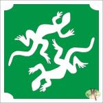  5x5 cm-es Csillámtetoválás sablon - Gyíkok 335 - mkkreativ
