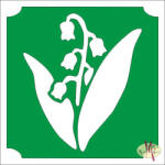 Mk Body Deco 5x5 cm-es Csillámtetoválás sablon - Gyöngyvirág 213