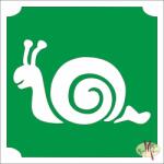 Body Deco 5x5 cm-es Csillámtetoválás sablon - Csiga 57