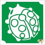  5x5 cm-es Csillámtetoválás sablon - Katica bogár 201 - mkkreativ