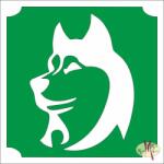  5x5 cm-es Csillámtetoválás sablon - Husky 273 - mkkreativ
