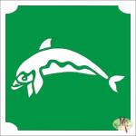 Body Deco 5x5 cm-es Csillám tetoválás sablon - Tengeri csillag 360