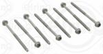 ELRING Set surub, chiulasa ELRING 725.320 (725.320)