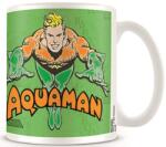 Pyramid International Cana Pyramid DC Comics: Aquaman - Aquaman (MG23065)