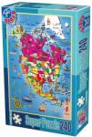 D-Toys Puzzle Harta Americii de Nord - Puzzle 240 Piese (50663-03) Puzzle