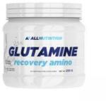 ALLNUTRITION Recuperare glutamină - Lămâie - mallbg - 80,40 RON