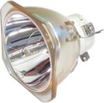 NEC NP42LP (100014502) lampă originală fără modul (NP42LP)