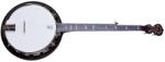 Deering Artisan Goodtime Special Banjo