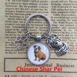  Kulcstartó Shar pei 4