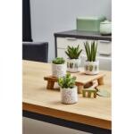 Casa Plastor Ghiveci ceramica, Las Vegas Greenery (SK-0631-0008-8131)