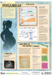  Fogamzás / fogamzásgátlás tanulói munkalap duo- Contracepția / metode de contracepție- fișă de studiu duo