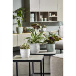 Soendgen Keramik Ghiveci ceramica, Bergamo Pure (SK-0252-0013-0050)