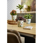 Soendgen Keramik Ghiveci ceramica, Dallas Botanic Style (SK-0078-0014-8134)