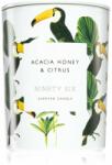 DW HOME Ninety Six Acacia Honey & Citrus lumânare parfumată 413 g
