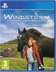 Mindscape Windstorm Start of a Great Friendship (PS4)