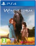 Mindscape Windstorm An Unexpected Arrival (PS4)