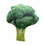 Perfect Pet Jucarie PP print - Broccoli cu sunet