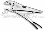 BGS technic BGS-493 Cleste
