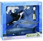 CollectA - Set 7 figurine pictate manual Animale Antarctica (COL84203WB) Figurina