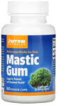 Jarrow Mastic Gum (Guma de Mastic), Jarrow Formulas, 60 capsule