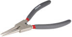 PROLINE 28617 Cleste