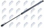 NTY Amortizor portbagaj NTY AE-FR-006 (AE-FR-006)
