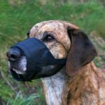 TRIXIE Botnita Caini din Plasa, Negru - megapet - 16,73 RON