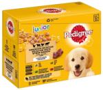 PEDIGREE alutasak Multipack Junior 12x100g - grandopet