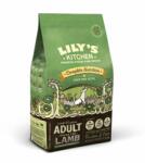 Lily's Kitchen Lily`s Kitchen Dog Adult Grain Free cu Miel, 2.5 kg