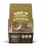 Lily's Kitchen Lily's Kitchen Caine Adult cu Vanat si Rata, 7 kg