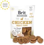 Brit Brit Dog Jerky Chicken With Insect Meaty Coins