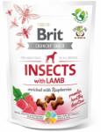Brit Brit Care Dog Insects cu Miel si Zmeura, 200 g