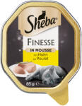 Sheba 44x85g Sheba tálcás nedves macskatáp- Mousse csirke