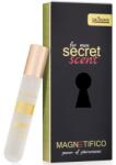 Valavani Masculin Valavani Magnetifico Pheromone Secret Scent for Man Spray cu feromoni 20 ml