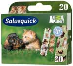 Salvequick sebtapasz Animal Planet 20x