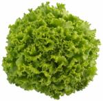 Syngenta Seminte de salata verde Oleole DRAJAT, 5000 seminte SYNGENTA (HCTG00483)